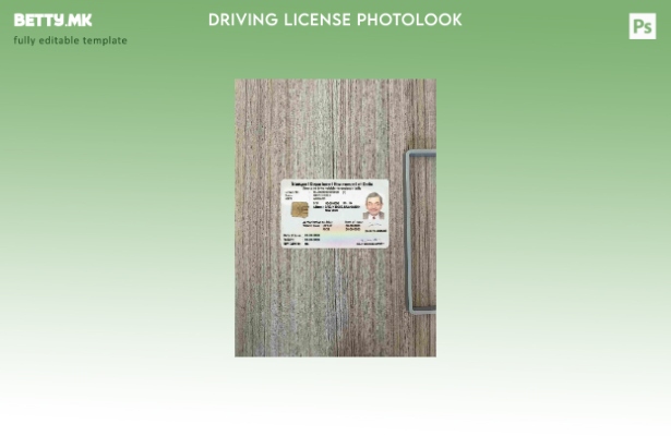 Модерен стил Индија (Делхи) возачка дозвола photolook ПРЕДЕН шаблон